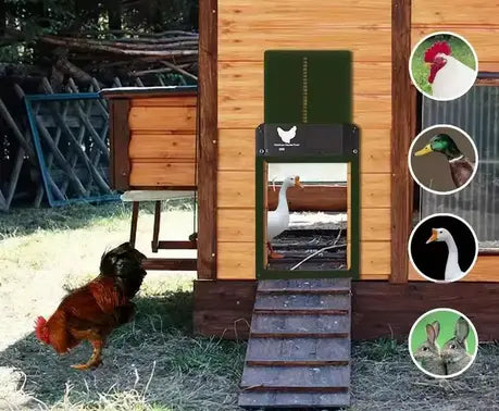 AUTOMATSKA VRATA ZA KOKOŠINJAC Outlet Prodaja