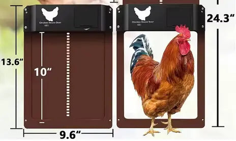 AUTOMATSKA VRATA ZA KOKOŠINJAC Outlet Prodaja